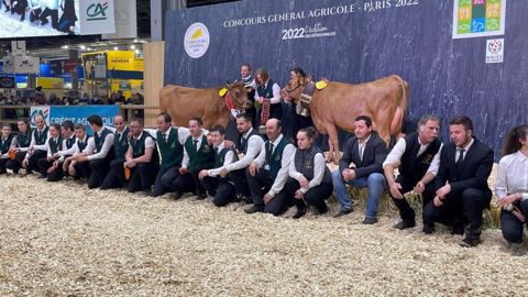 Joconde et Premium, les championnes du concours Tarentaise Joconde et Premium, les championnes du concours Tarentaise