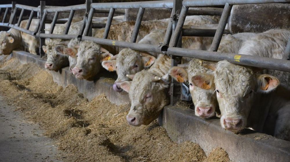 Le ministre de l'agriculture veut imposer aux produits agricoles importés les mêmes normes sanitaires et environnementales qu'en Europe. (©Terre-net Média)