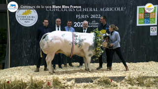 Sylvain Cauchy (59) remporte le concours Blanc Bleu Sylvain Cauchy (59) remporte le concours Blanc Bleu
