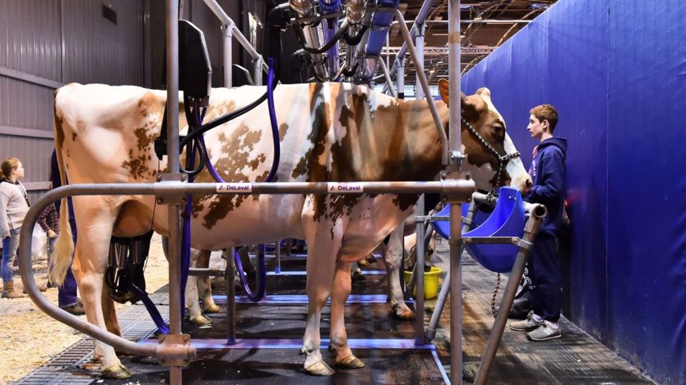 La traite sera visible par les visiteurs du salon dans le pavillon 1. (©Sia)