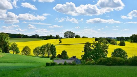 Le printemps pourrait être plus chaud que la normale selon Météo France. (©Pixabay)
