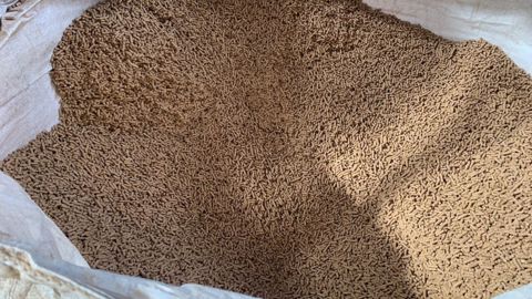 La filière s’engage à ne plus utiliser de soja importé déforestant d’ici 2025 La filière s’engage à ne plus utiliser de soja importé déforestant d’ici 2025