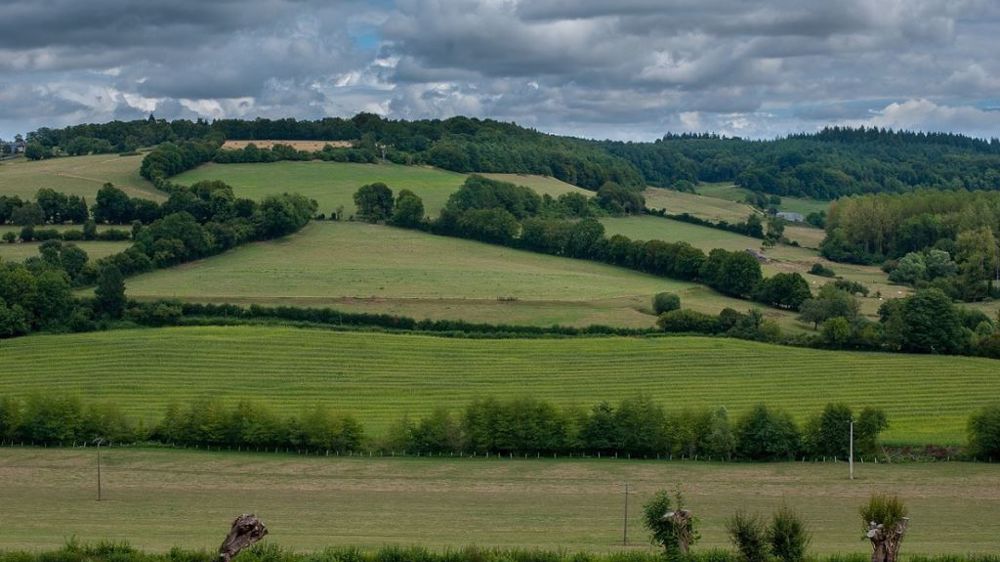 La tonne de C02 vaut aujourd'hui environ 40 € sur le marché.  (©Pixabay)