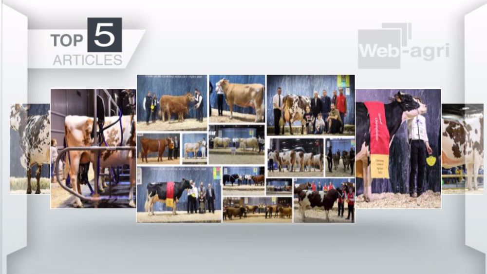 Articles les plus lus sur Web-agri cette semaine. (©Terre-net Média)
