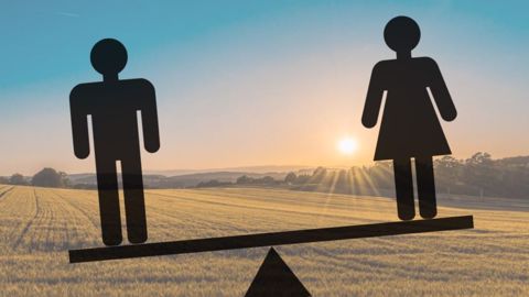 Si l'égalité entre les femmes et les hommes a progressé en agriculture, de nombreux blocages demeurent. (©Pixabay/Terre-net Média) Si l'égalité entre les femmes et les hommes a progressé en agriculture, de nombreux blocages demeurent. (©Pixabay/Terre-net Média)