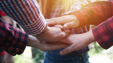 Comment transmettre son exploitation agricole lorsqu'on est en société ? (©your123, Fotolia) Comment transmettre son exploitation agricole lorsqu'on est en société ? (©your123, Fotolia)