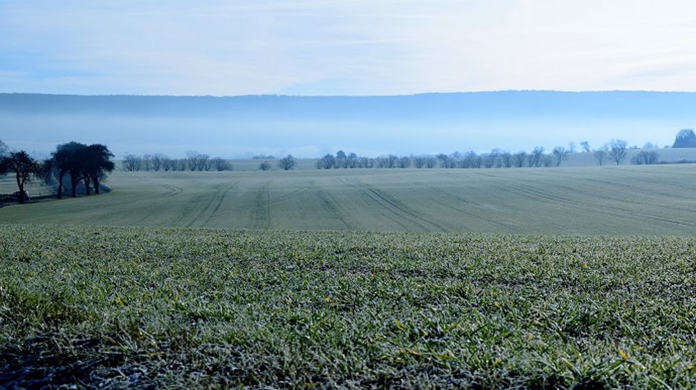 Des températures négatives ont touché les cultures allemandes et de l'Est de la France. (©PixaBay)