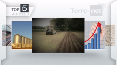 Articles les plus lus sur Terre-net cette semaine. (©Terre-net Média)