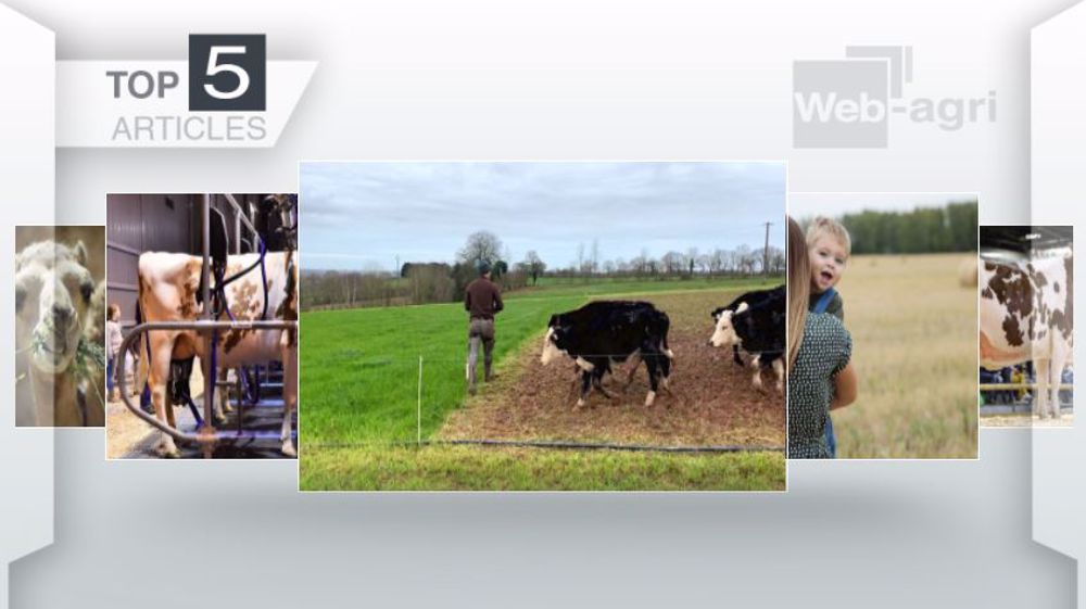 Articles les plus lus sur Web-agri cette semaine. (©Terre-net Média)
