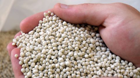 La Russie fournit 25 % de l'approvisionnement européen en engrais azotés, potassiques et phosphatés (©Terre-net Média)