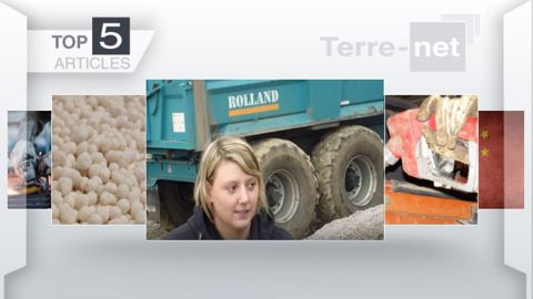 <strong>Articles les plus lus sur Terre-net</strong> cette semaine. (©Terre-net Média)