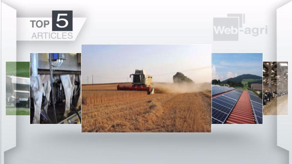 Articles les plus lus sur Web-agri cette semaine. (©Terre-net Média)