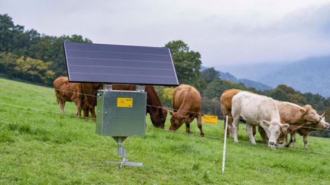 Le boîtier antivol est fixé sur un piquet de terre isolant ancré au sol. Son pied stabilisateur assure un bon maintien dans tous les types de sol. (©Patura) Le boîtier antivol est fixé sur un piquet de terre isolant ancré au sol. Son pied stabilisateur assure un bon maintien dans tous les types de sol. (©Patura)