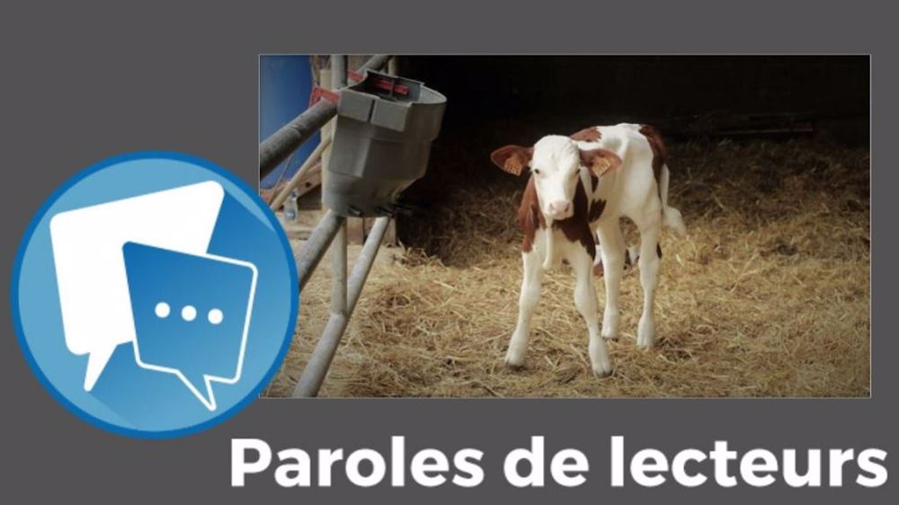  « Dans les zones où l'élevage dégage du revenu (AOC, vente directe...), les jeunes reviennent », fait remarquer Moty.(©Terre-net Média)