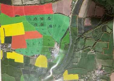 Plan de pâturage