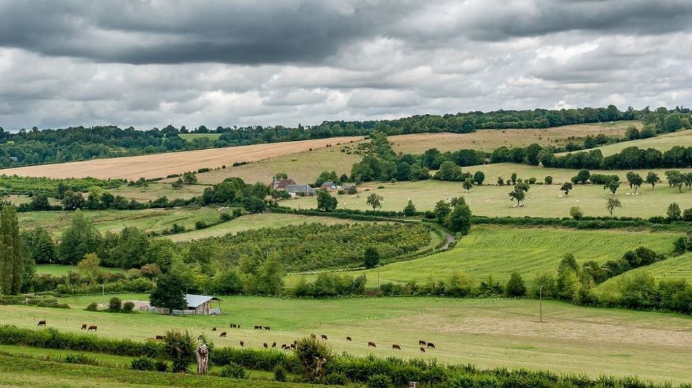Les agriculteurs peuvent percevoir jusqu’à 60 000 euros sur cinq ans, soit 12 000 euros par an. (©Pixabay)