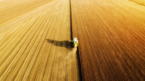 L'analyseur installé sur la moissonneuse-batteuse mesure le taux de protéines et l'humidité de la récolte en permanence et sur le flux de grains. (©GrainSense Oy) L'analyseur installé sur la moissonneuse-batteuse mesure le taux de protéines et l'humidité de la récolte en permanence et sur le flux de grains. (©GrainSense Oy)