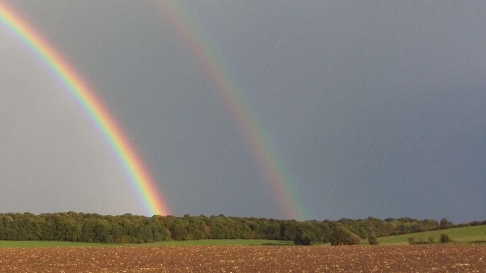 Selon une enquête du Forum économique mondial, la résilience des systèmes alimentaires de l'UE serait assurée si un cinquième des agriculteurs adoptaient des pratiques plus performantes face au changement climatique. (©Pixabay)