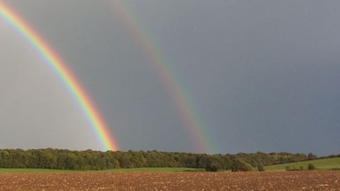 Selon une enquête du Forum économique mondial, la résilience des systèmes alimentaires de l'UE serait assurée si un cinquième des agriculteurs adoptaient des pratiques plus performantes face au changement climatique. (©Pixabay)