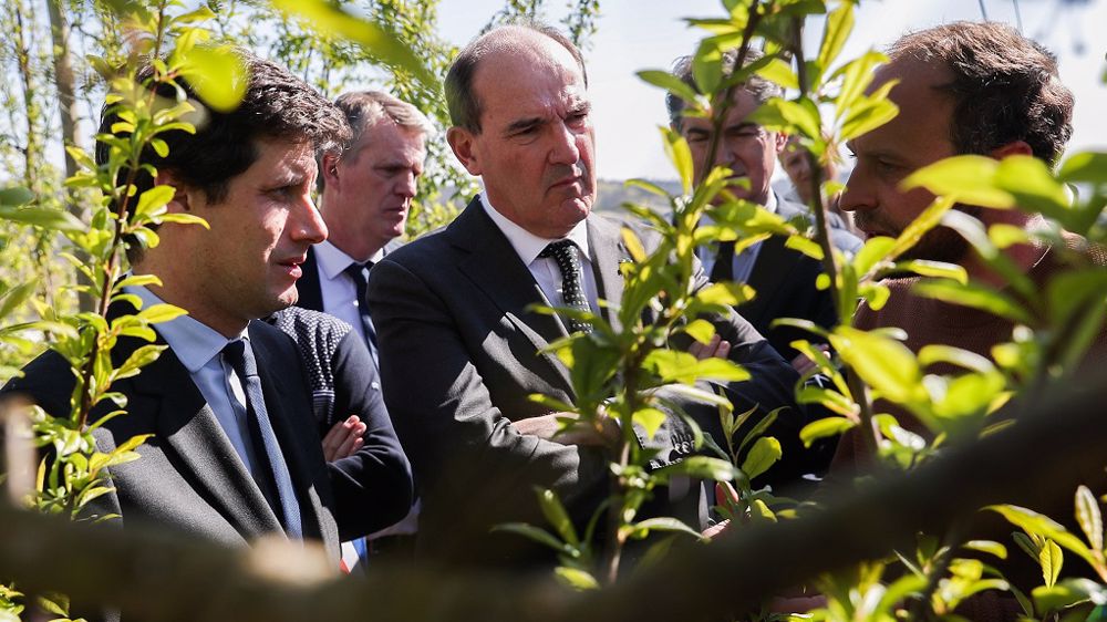 Jean Castex et Julien Denormandie en déplacement dans le Tarn-et-Garonne, auprès des agriculteurs touchés par le gel. (©<a href="https://twitter.com/JeanCASTEX" target="_blank">Compte Twitter de Jean Castex</a>)