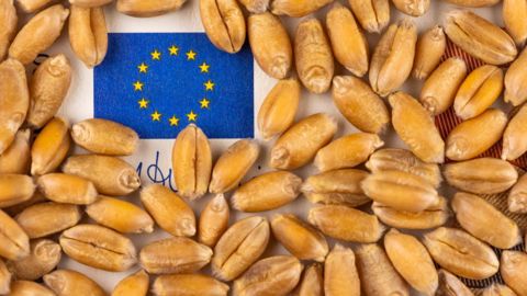 D'après les premières estimations de la Commission européenne, l'UE exporterait 40 Mt de blé en 2022/23, une hausse de 20 % par rapport à la campagne en cours. (©AdobeStock) D'après les premières estimations de la Commission européenne, l'UE exporterait 40 Mt de blé en 2022/23, une hausse de 20 % par rapport à la campagne en cours. (©AdobeStock)
