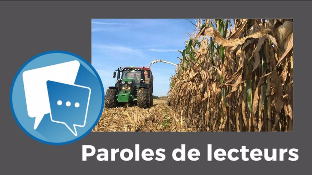 « Faut-il donner une valeur au maïs en fonction du coût de production ou du marché ? », s'interroge Vincent Delargillière. (©Elvup // Création Terre-net Média)