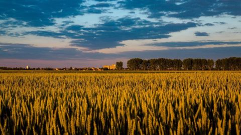 La France veut des objectifs de production agricole dans l'UE