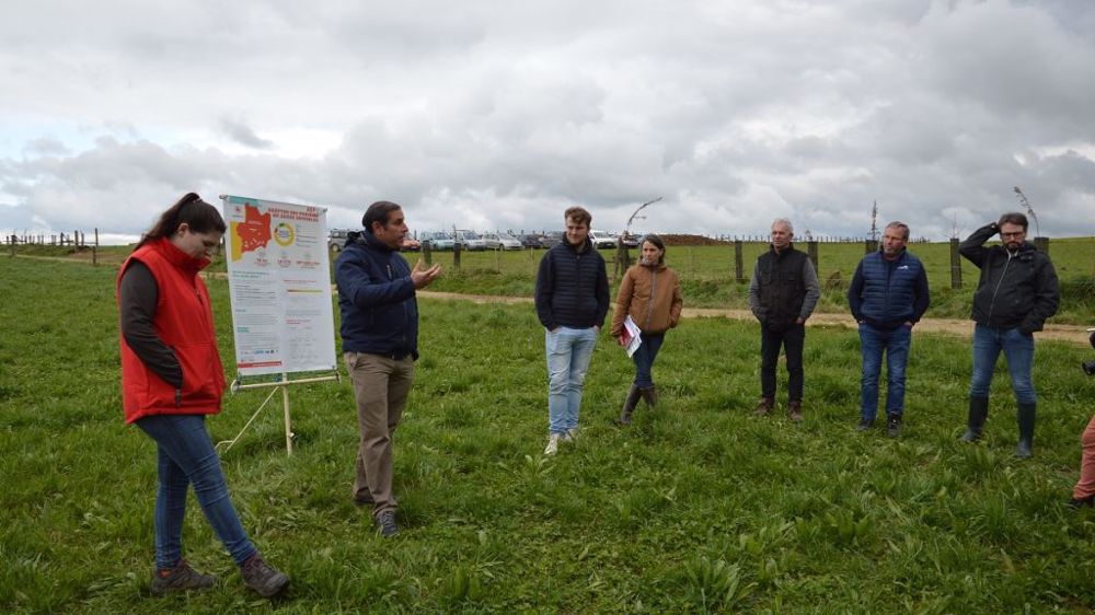 Membres d’Agrobio 35, une dizaine d’éleveurs d’Ille-et-Vilaine ont réfléchi ensemble à l’adaptation de leurs prairies face aux aléas climatiques. (©Cécile Julien)