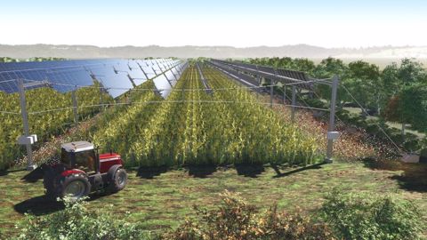 La Canopée agricole : photo en 3D du premier démonstrateur agrivoltaïque TSE situé en Haute-Saône. (©TSE) La Canopée agricole : photo en 3D du premier démonstrateur agrivoltaïque TSE situé en Haute-Saône. (©TSE)