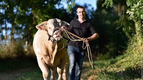 Le jeune agriculteur était à la tête d'un troupeau de 60 Charolaises. (©T. Samyn) Le jeune agriculteur était à la tête d'un troupeau de 60 Charolaises. (©T. Samyn)