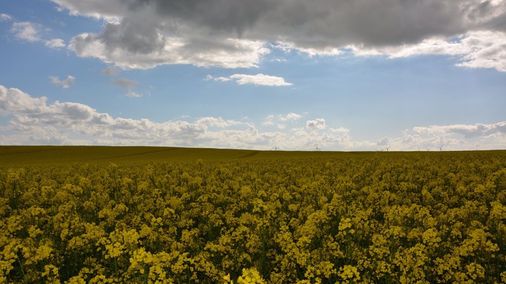 Retrouvez <a href="https://www.terre-net.fr/meteo-agricole" target="_self">toutes les prévisions météorologiques de vos parcelles sur l'observatoire météo de Terre-net</a>. (©Terre-net Média)