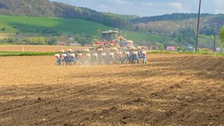 Les semis de maïs avancent en même temps que les ensilages d'herbe. (©Terre-net Média) Les semis de maïs avancent en même temps que les ensilages d'herbe. (©Terre-net Média)