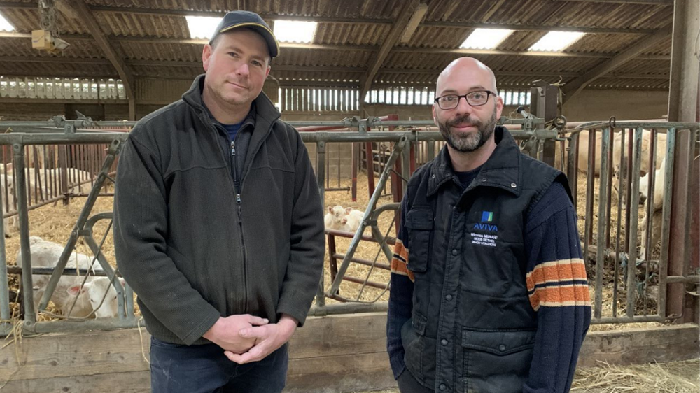 Depuis une quinzaine d'années, Christophe Emon et Alexandre Chatelot achètent leurs taureaux ensemble. (©Terre-net Média)