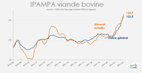 Ipampa viande bovine février 2022