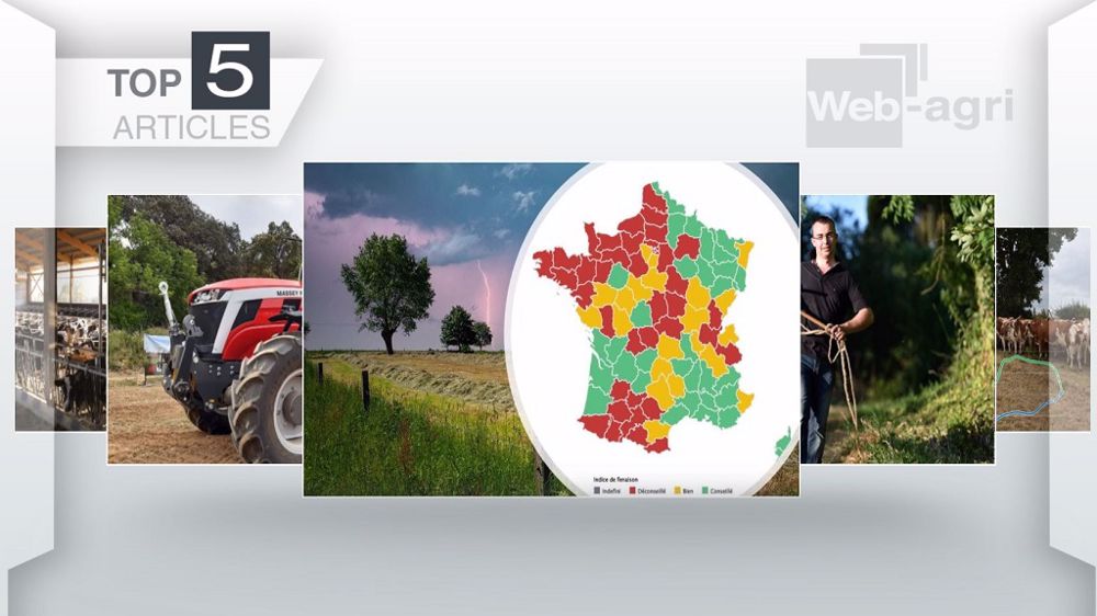 Top articles de Web-agri cette semaine. (©Terre-net Média)