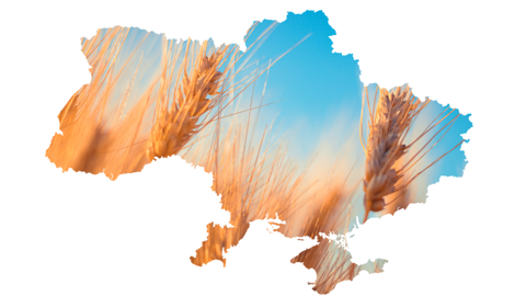 En 2022, l'Ukraine pourrait produire 19,8 Mt de blé, contre 32,1 Mt en 2021 (©AdobeStock)