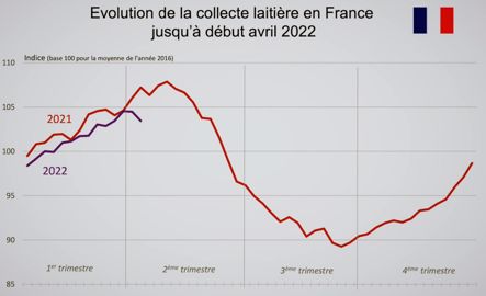 Collecte laitière en France