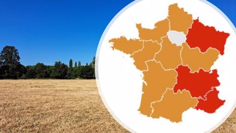 Quelle est la situation dans votre région ? Quelle est la situation dans votre région ?