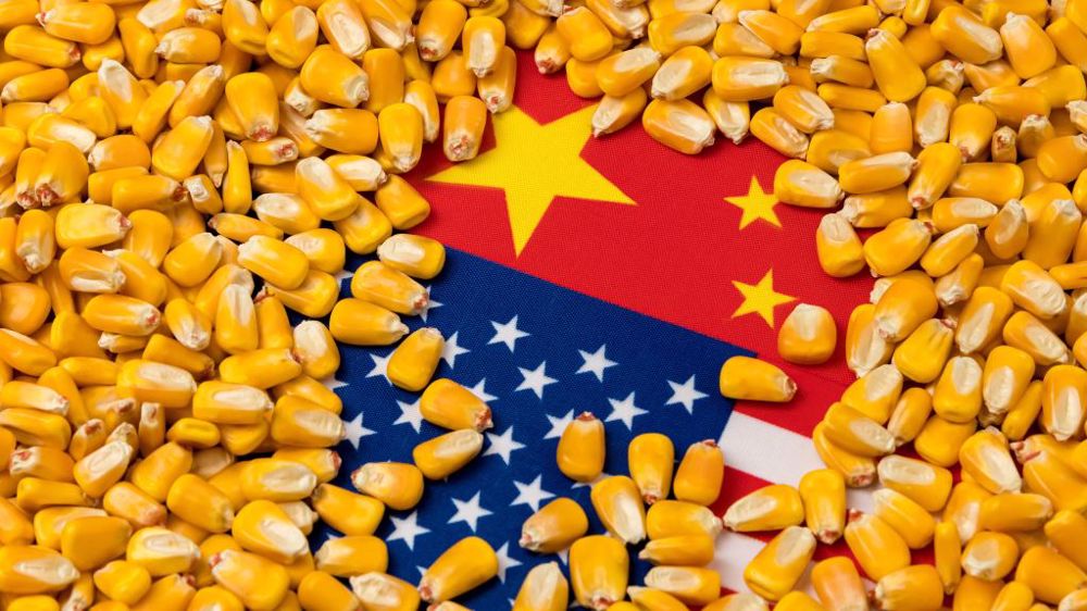 En avril, la Chine a conclu quatre achats de plus d'1 Mt de maïs US. (©AdobeStock)