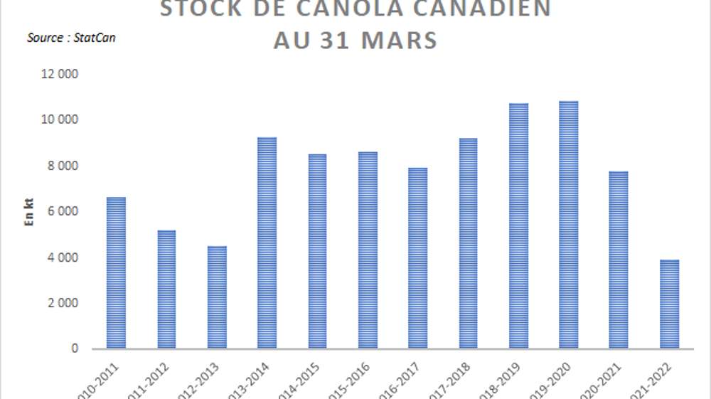 Les stocks de canola canadien décrochent