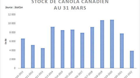 Les stocks de canola canadien décrochent
