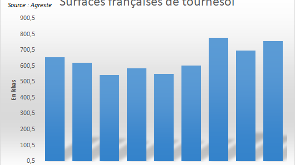 Les surfaces françaises de tournesol augmentent.