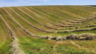 Des premières récoltes d'herbe satisfaisantes : c'est déjà ça de pris ! Des premières récoltes d'herbe satisfaisantes : c'est déjà ça de pris !