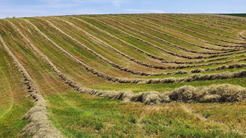 Des premières récoltes d'herbe satisfaisantes : c'est déjà ça de pris ! Des premières récoltes d'herbe satisfaisantes : c'est déjà ça de pris !