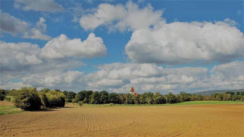 Le SNPR rappelle l'urgence de rénover le statut du fermage, notamment vis à vis du renouvellement des générations en agriculture. (©Pixabay)