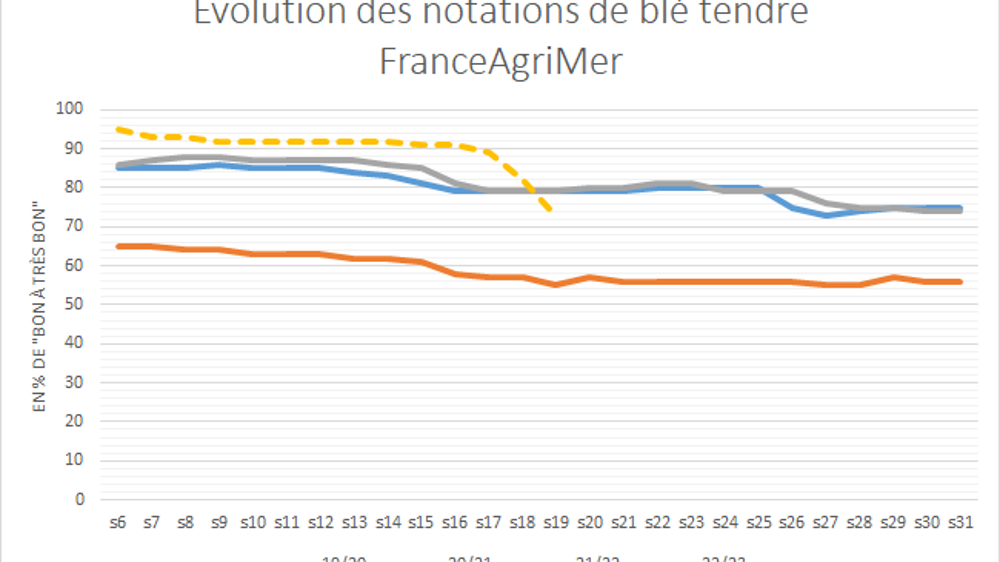 Les notations de blé tendre FranceAgriMer décrochent. Les notations de blé tendre FranceAgriMer décrochent.