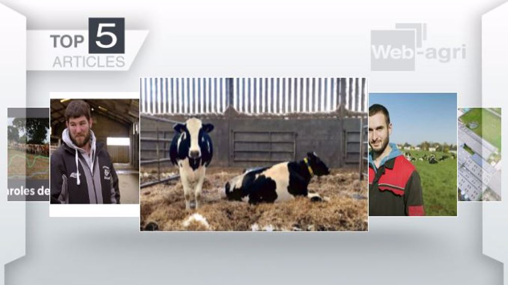 Articles les plus lus sur Web-agri cette semaine. (©Terre-net Média)