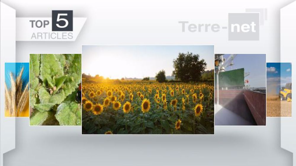 Articles les plus lus sur Terre-net cette semaine. (©Terre-net Média)