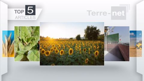 Articles les plus lus sur Terre-net cette semaine. (©Terre-net Média)