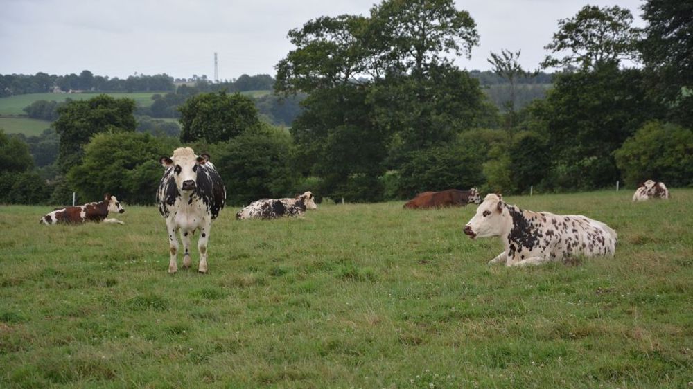  La France comptera 56 300 chefs d'exploitation en 2030, contre 88 000 en 2019, soit une baisse de 36 %. (©Terre-net Média)